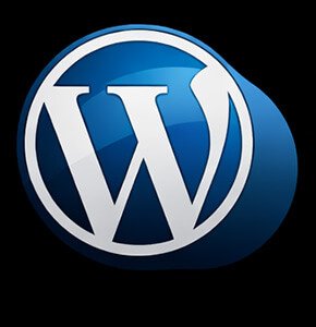 Modern WordPress Websites to gain Leads.